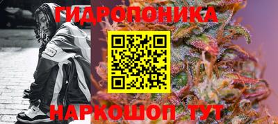 трава Балахна