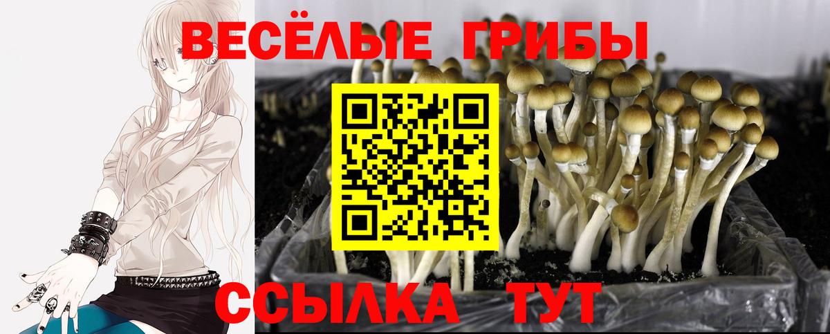 Псилоцибиновые грибы ЛСД  Псилоцибиновые грибы Magic Shrooms  Вход с VPN  Видное 