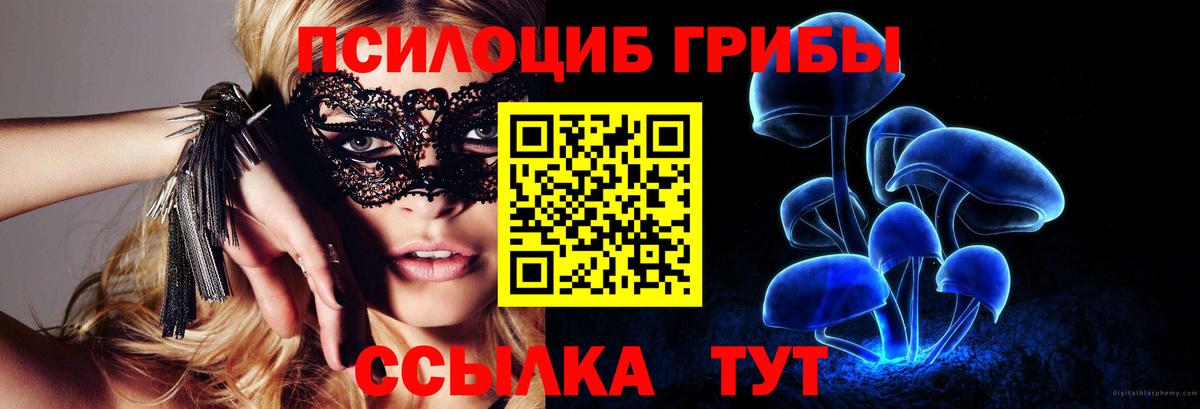 Галлюциногенные грибы Psilocybe Видное